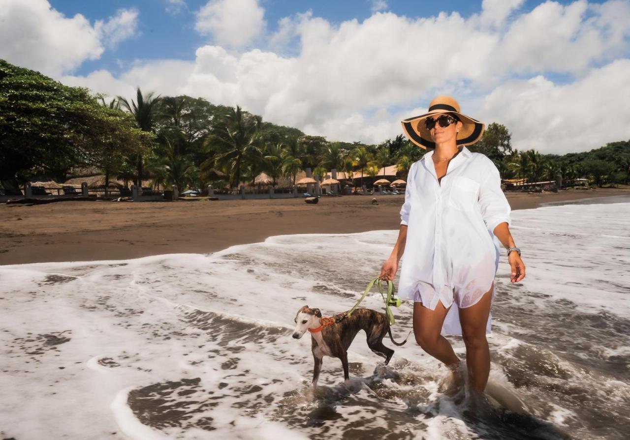 Bahia Del Sol Beach Front Boutique Hotel Potrero  Eksteriør billede